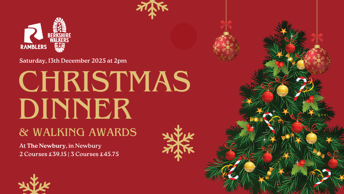 christmas dinner flyer